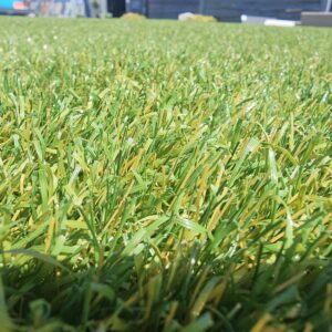 Elite 50mm ✅️Nieuw 2026✅️