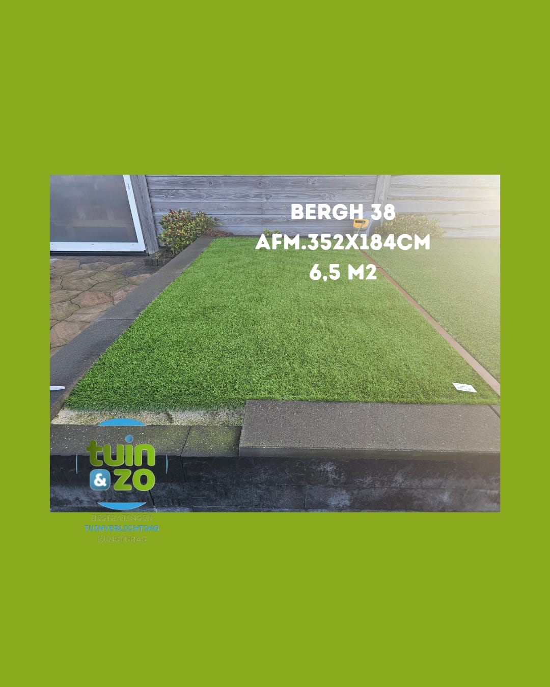 Bergh 38