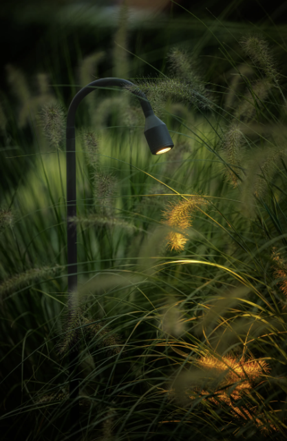 Xible Hi 12V